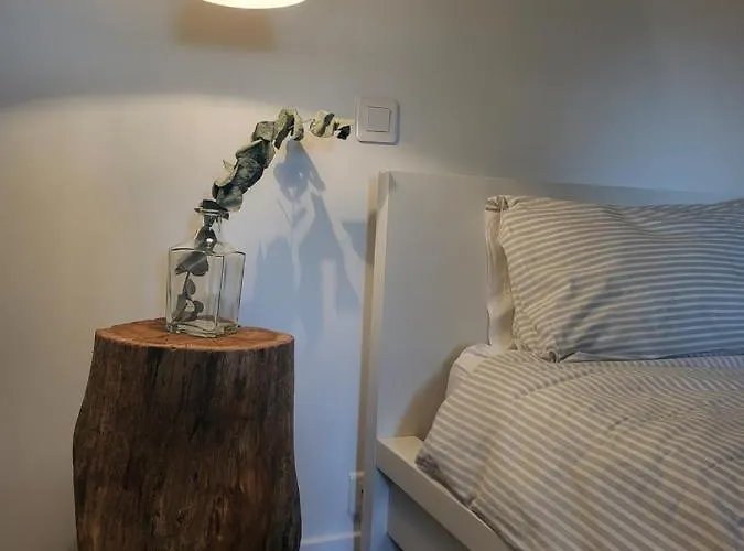 فيلة Chez Foucherie Nonac