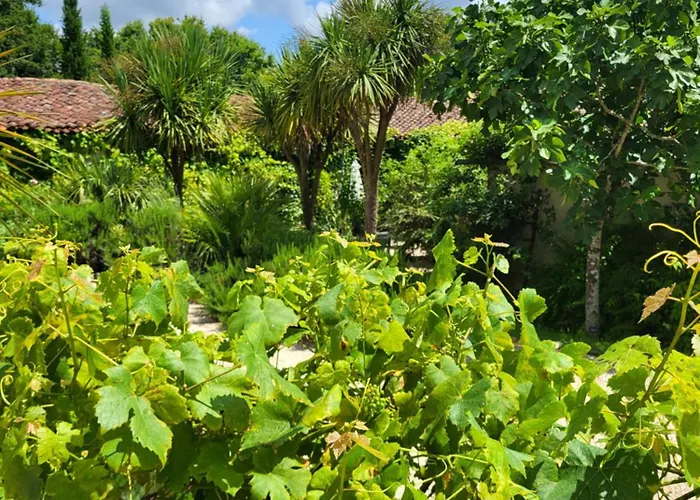 فيلة Chez Foucherie Nonac